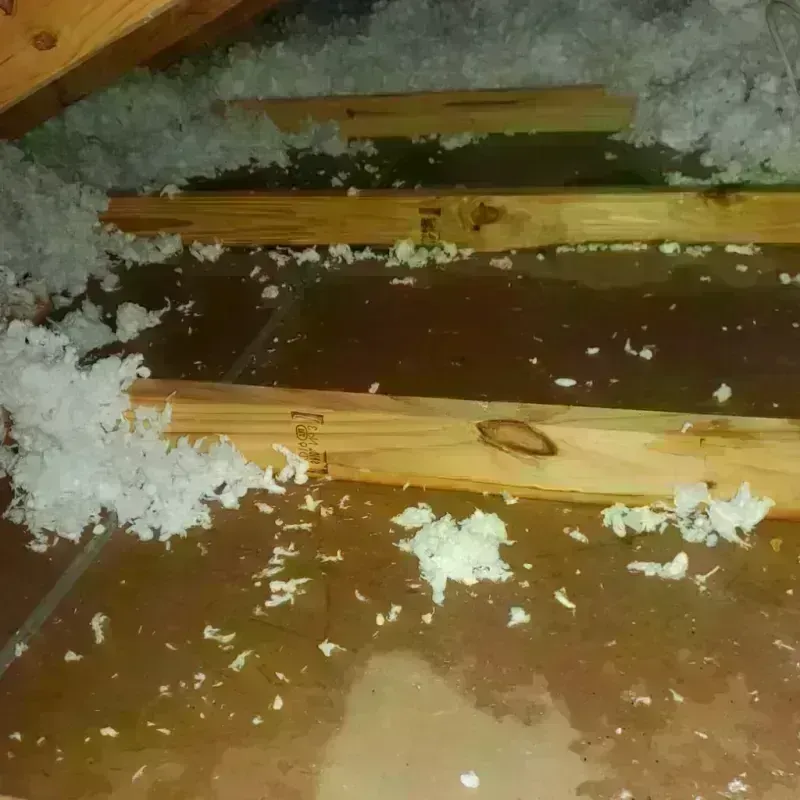 Attic Water Damage in Montrose, NY